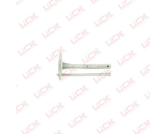 Дюбель для изоляции IZO 10*110(100шт. пласт. гвоздь)