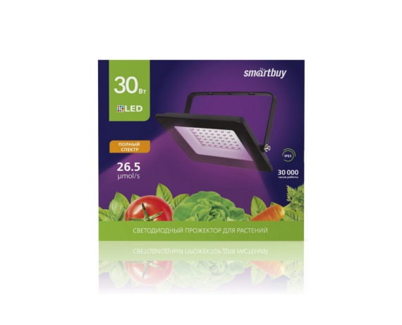 Светодиодный прожектор FL ФИТО Smartbuy-30W/1300K/IP65